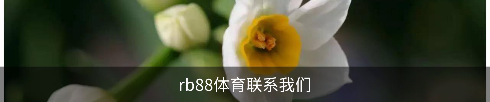 rb88体育联系我们